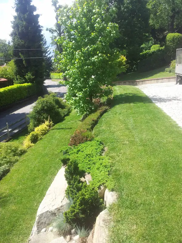 Sistemazione Terrazzamenti e Piantumazione Alberi - il Maggiociondolo Varese