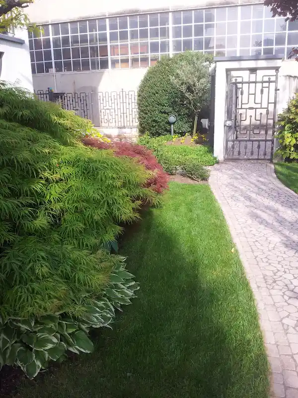 Ingresso abitazione giardino curato - il Maggiociondolo Varese