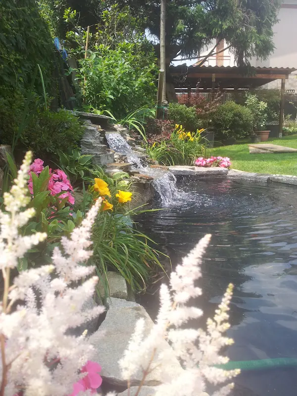 Laghetto con cascata in pietra - il Maggiociondolo Varese