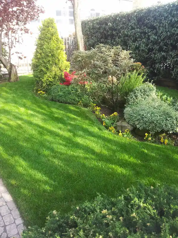 Prato verde con aiuole di contorno - il Maggiociondolo Varese
