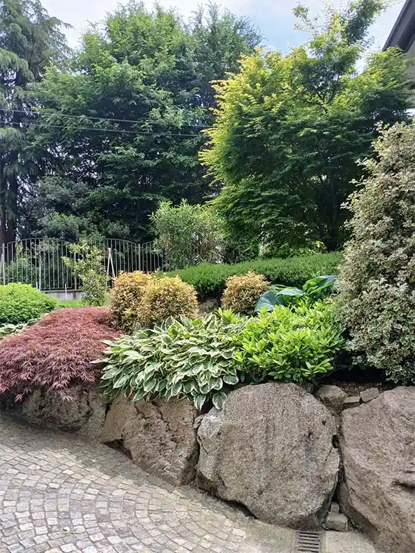 Manutenzione giardino stratificato potature - il Maggiociondolo Varese