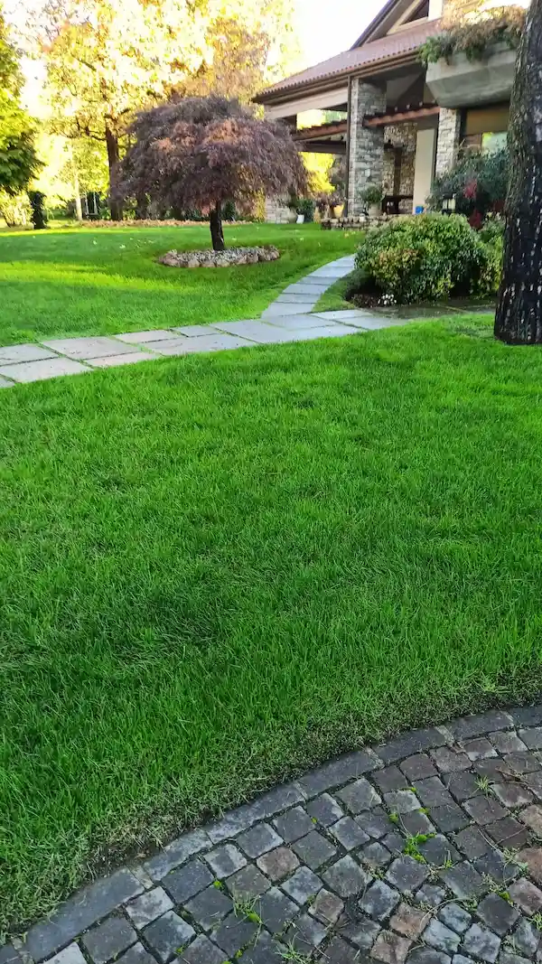 Progettazione giardino privato su misura - il Maggiociondolo Varese